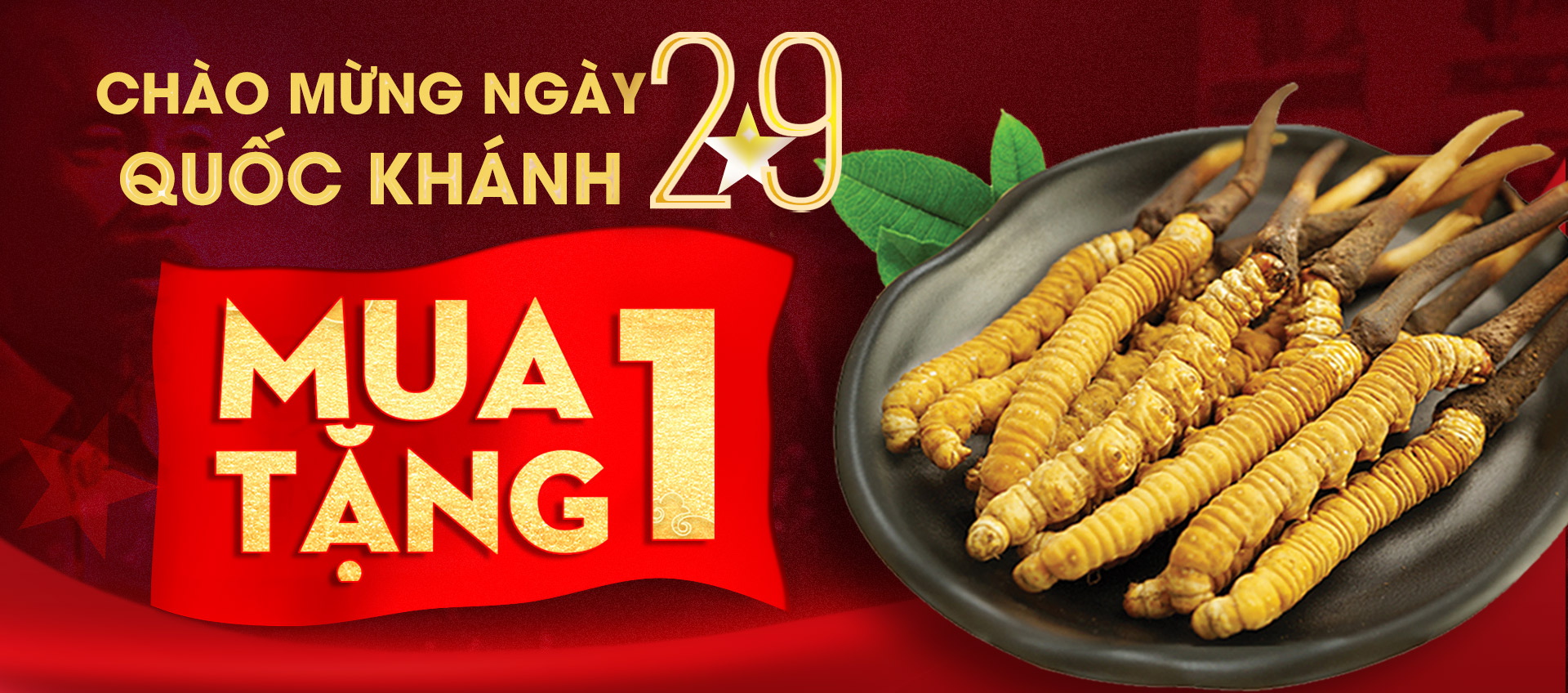 Khuyến mãi đông trùng