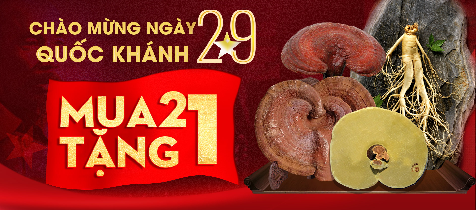 Khuyen mai nam linh chi