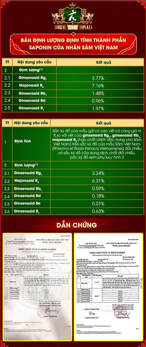 giấy kiểm định sâm việt nam