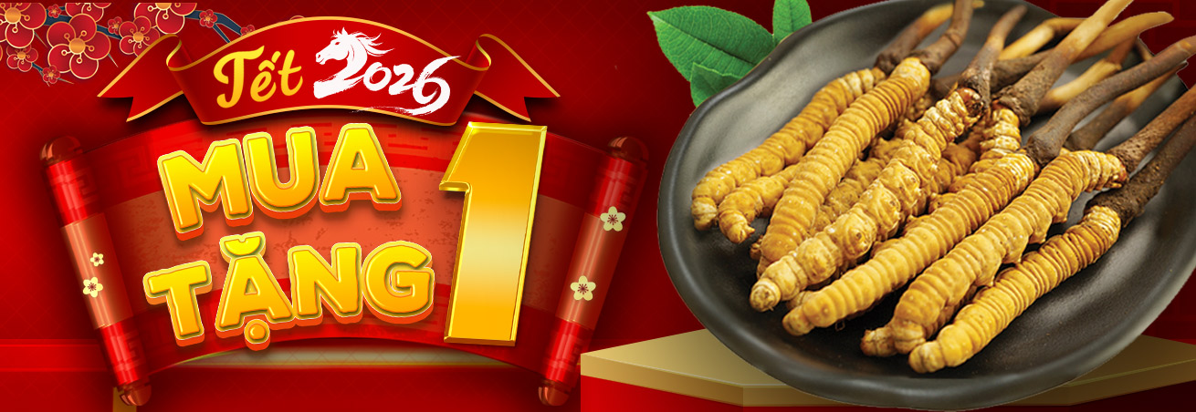 Khuyến  mãi đông trùng con