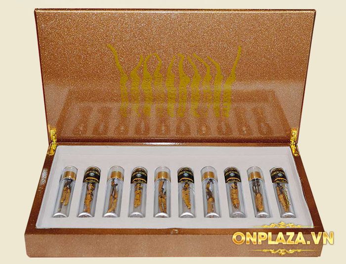 ​​​​​​​​Đông trùng hạ thảo Tây Tạng nguyên con cao cấp loại 5g/hộp D001 3