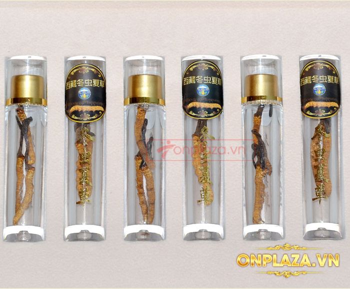 ​​​​​​​​Đông trùng hạ thảo Tây Tạng nguyên con cao cấp loại 5g/hộp D001 6