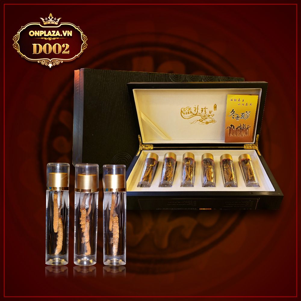 Đông trùng hạ thảo Tây Tạng nguyên con cao cấp loại 10g/hộp D002