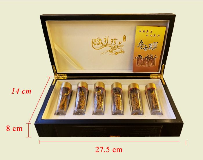  Hộp quà tặng đông trùng hạ thảo Tây Tạng nguyên con