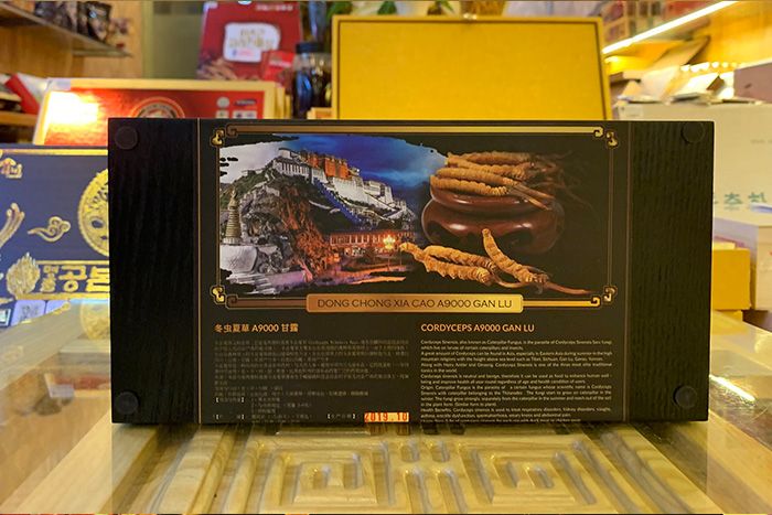 Hộp quà tặng đông trùng hạ thảo Tây Tạng nguyên con