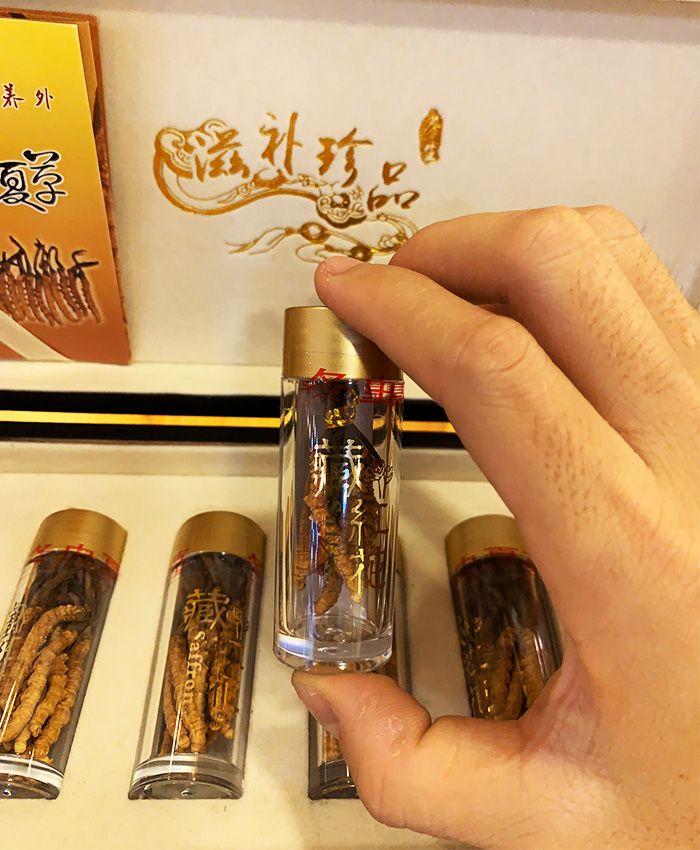 Hộp quà tặng đông trùng hạ thảo Tây Tạng nguyên con