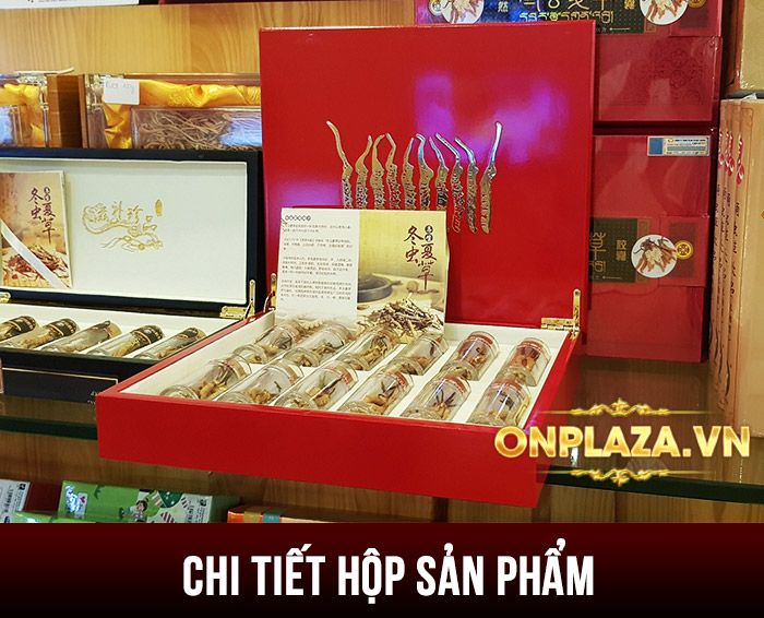 Đông trùng hạ thảo nguyên con Tây Tạng loại 20g/hộp D003 1