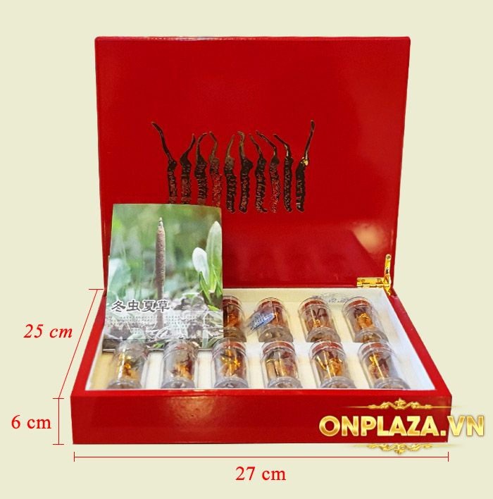 Đông trùng hạ thảo nguyên con Tây Tạng loại 20g/hộp D003 2