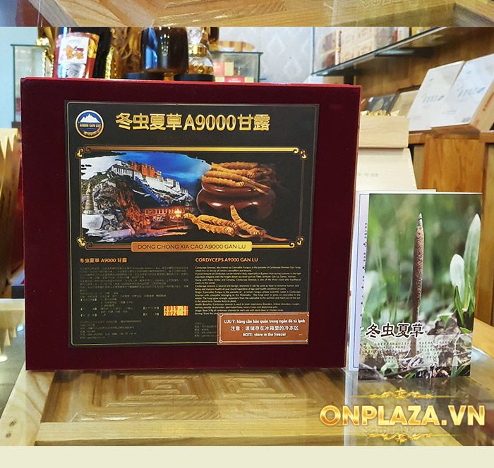 Đông trùng hạ thảo nguyên con Tây Tạng loại 20g/hộp D003 5