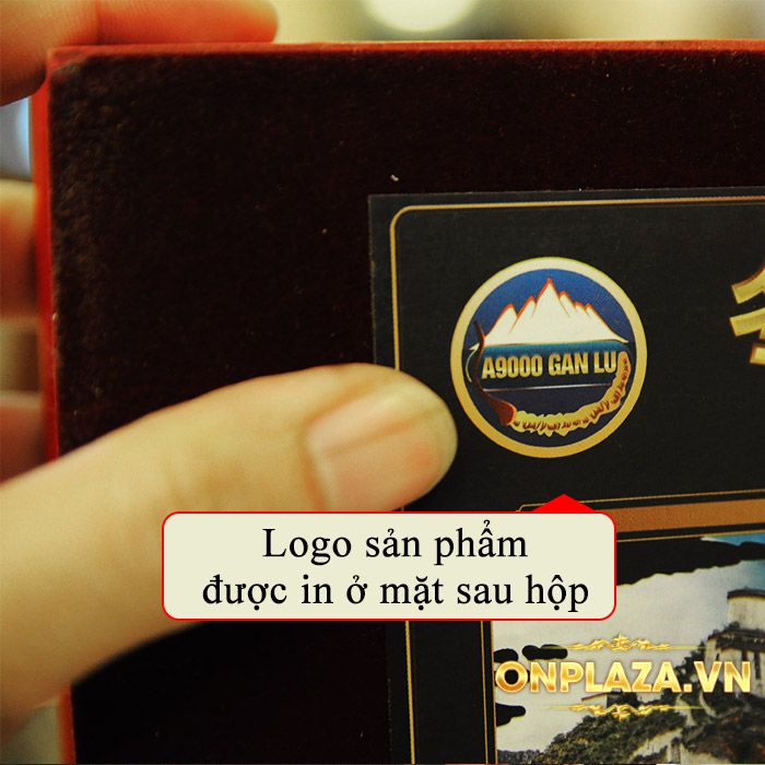 Đông trùng hạ thảo nguyên con Tây Tạng loại 20g/hộp D003 6