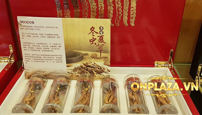 Đông trùng hạ thảo nguyên con Tây Tạng loại 20g/hộp D003 9