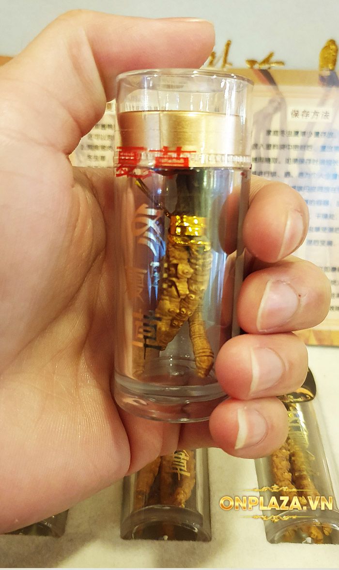 Đông trùng hạ thảo nguyên con Tây Tạng loại 20g/hộp D003 10