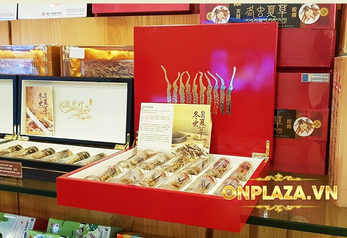 Đông trùng hạ thảo nguyên con Tây Tạng loại 20g/hộp D003 13
