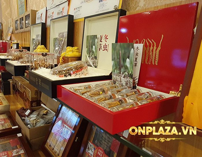 Đông trùng hạ thảo nguyên con Tây Tạng loại 20g/hộp D003 14