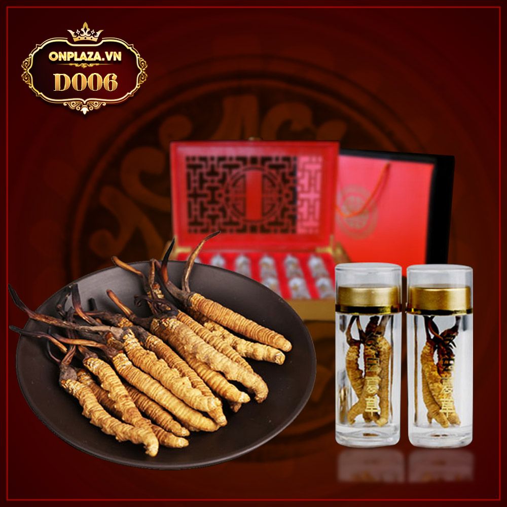 Đông trùng hạ thảo nguyên con hộp quà biếu loại đặc biệt 20g/hộp D006