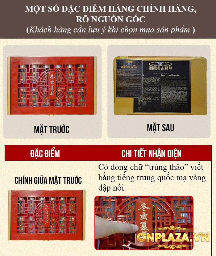 Đông trùng hạ thảo nguyên con hộp quà biếu loại đặc biệt 20g/hộp D006 2