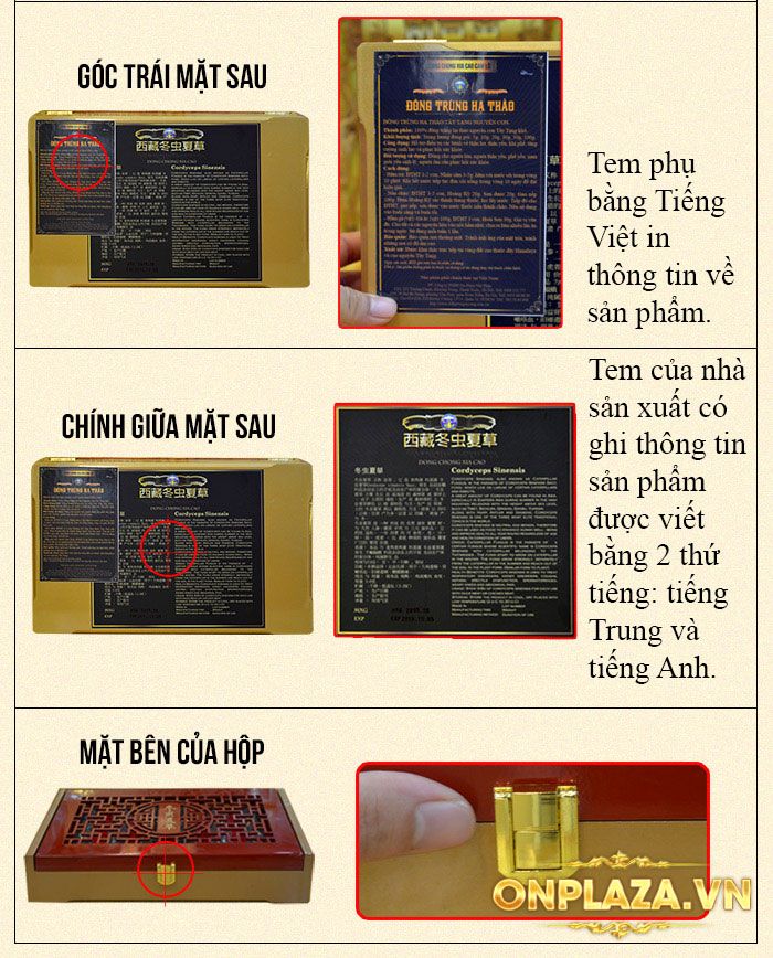 Đông trùng hạ thảo nguyên con hộp quà biếu loại đặc biệt 20g/hộp D006 3