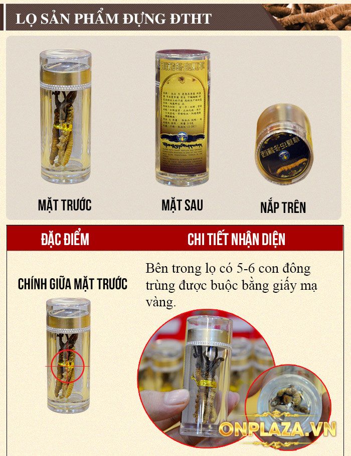 Đông trùng hạ thảo nguyên con hộp quà biếu loại đặc biệt 20g/hộp D006 4