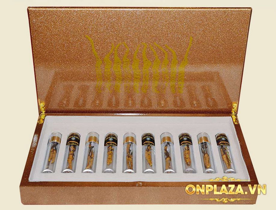 Hộp đông trùng hạ thảo Tây Tạng 5gr