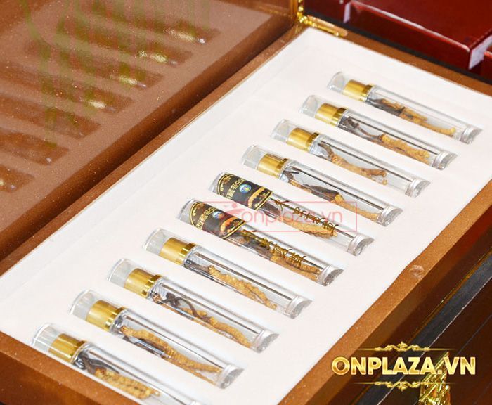 Hộp đông trùng hạ thảo Tây Tạng 5gr