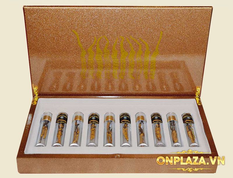 Quà tặng hộp đông trùng hạ thảo Tây Tạng