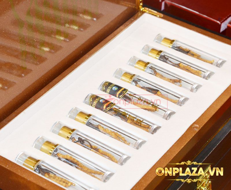 Quà tặng hộp đông trùng hạ thảo Tây Tạng