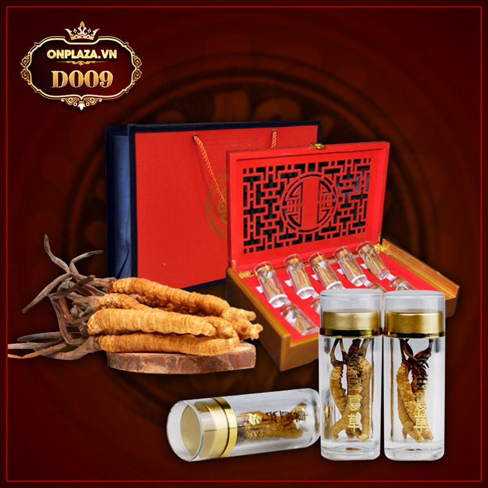 Đông trùng hạ thảo nguyên con cao cấp hộp quà biếu loại 20g/hộp D009