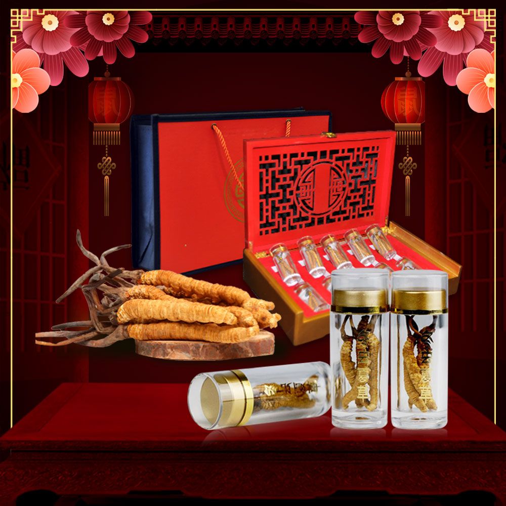 Hộp quà biếu đông trùng hạ thảo nguyên con Tây Tạng cao cấp loại 20g D009 