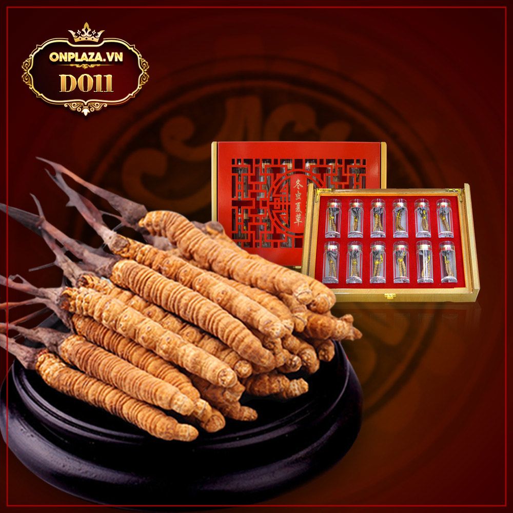 ĐTHT Tây Tạng nguyên con hộp 50gr D011