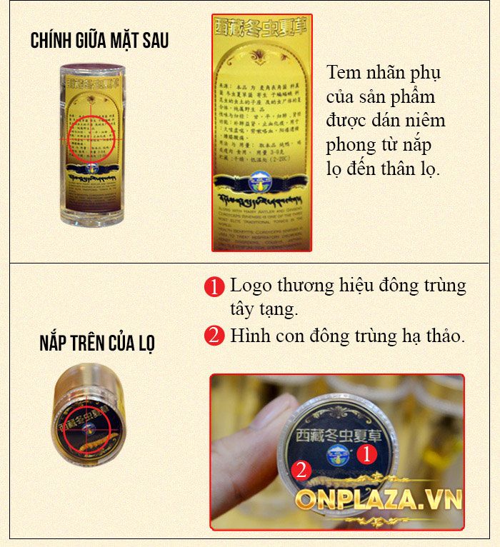 ĐTHT Tây Tạng nguyên con hộp 50gr D011 5