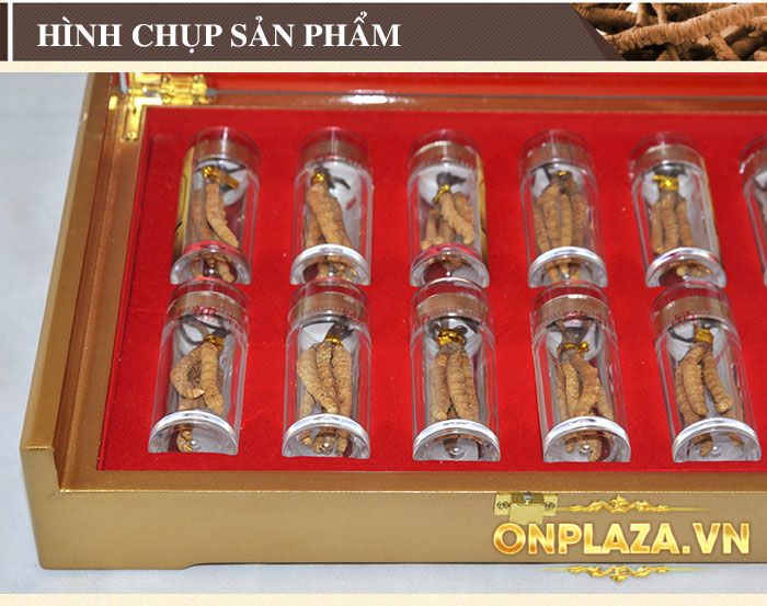 ĐTHT Tây Tạng nguyên con hộp 50gr D011 6