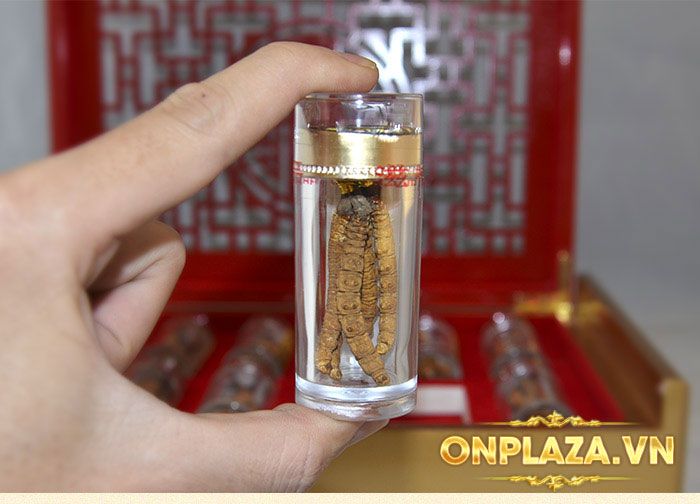 ĐTHT Tây Tạng nguyên con hộp 50gr D011 7