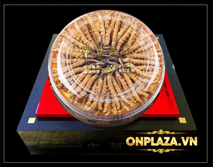 Hộp quà biếu cao cấp Đông trùng hạ thảo Tây Tạng