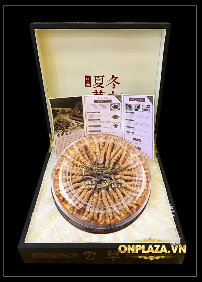 Hộp quà biếu cao cấp Đông trùng hạ thảo Tây Tạng