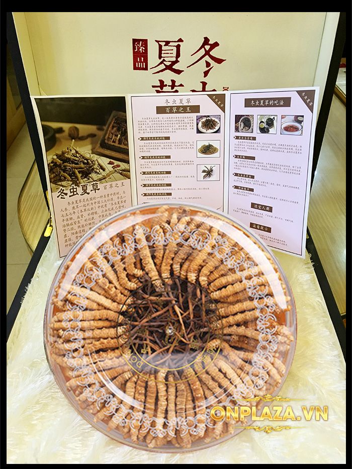 Hộp quà biếu cao cấp Đông trùng hạ thảo Tây Tạng