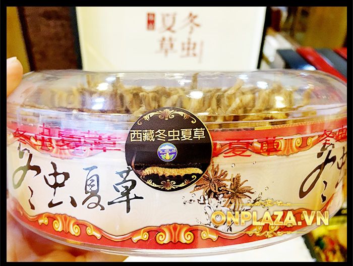 Hộp quà biếu cao cấp Đông trùng hạ thảo Tây Tạng