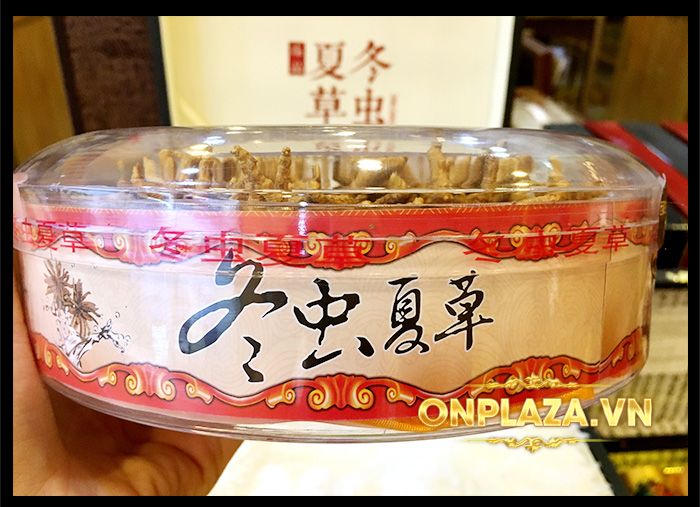 Hộp quà biếu cao cấp Đông trùng hạ thảo Tây Tạng