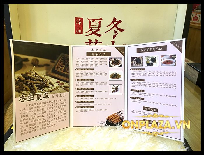 Hộp quà biếu cao cấp Đông trùng hạ thảo Tây Tạng