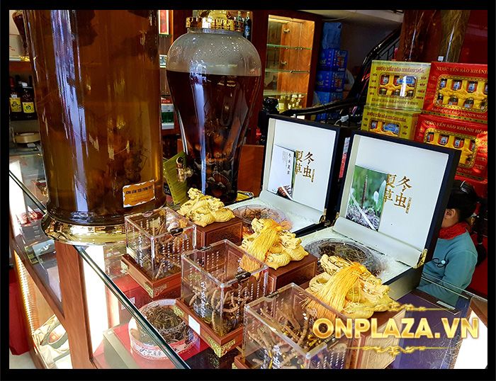 Hộp đông trùng hạ thảo tại cửa hàng Onplaza Việt Pháp