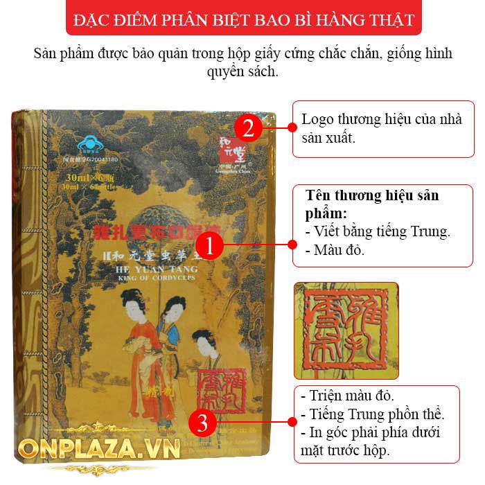 Đông Trùng Hạ Thảo Dạng Nước 3 Cô Tiên Hòa Nguyên Đường D016 2