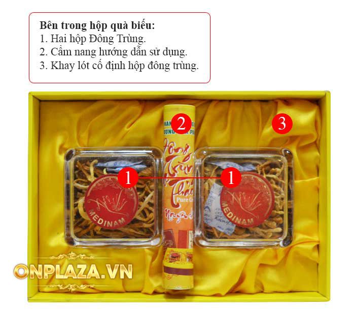 Hộp Quà Biếu Nấm ĐTHT Việt Nam Loại Cao Cấp D031 2