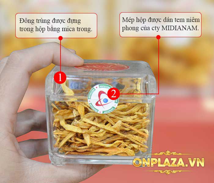 Hộp Quà Biếu Nấm ĐTHT Việt Nam Loại Cao Cấp D031 3