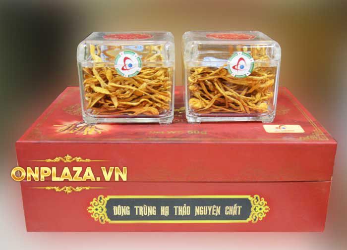Hộp Quà Biếu Nấm ĐTHT Việt Nam Loại Cao Cấp D031 5