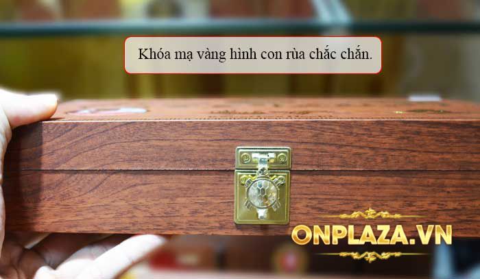 Đông trùng hạ thảo nhân  sâm loại 30v D048 3