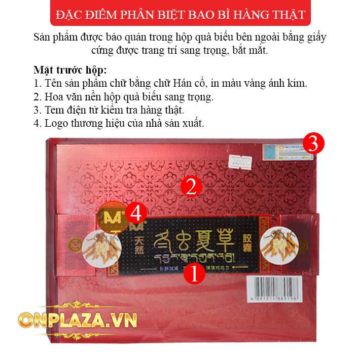 Hộp viên đông trùng hạ thảo Trung Quốc