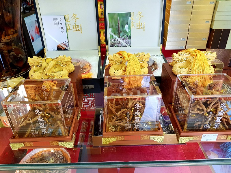 Hộp đông trùng hạ thảo Tây Tạng chạm rồng