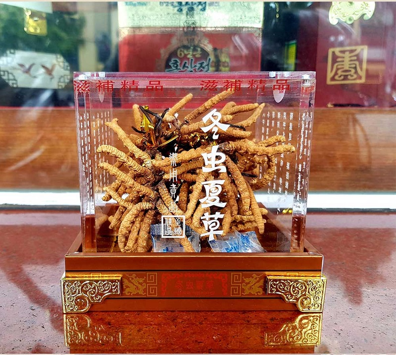 Hộp đông trùng hạ thảo Tây Tạng chạm rồng