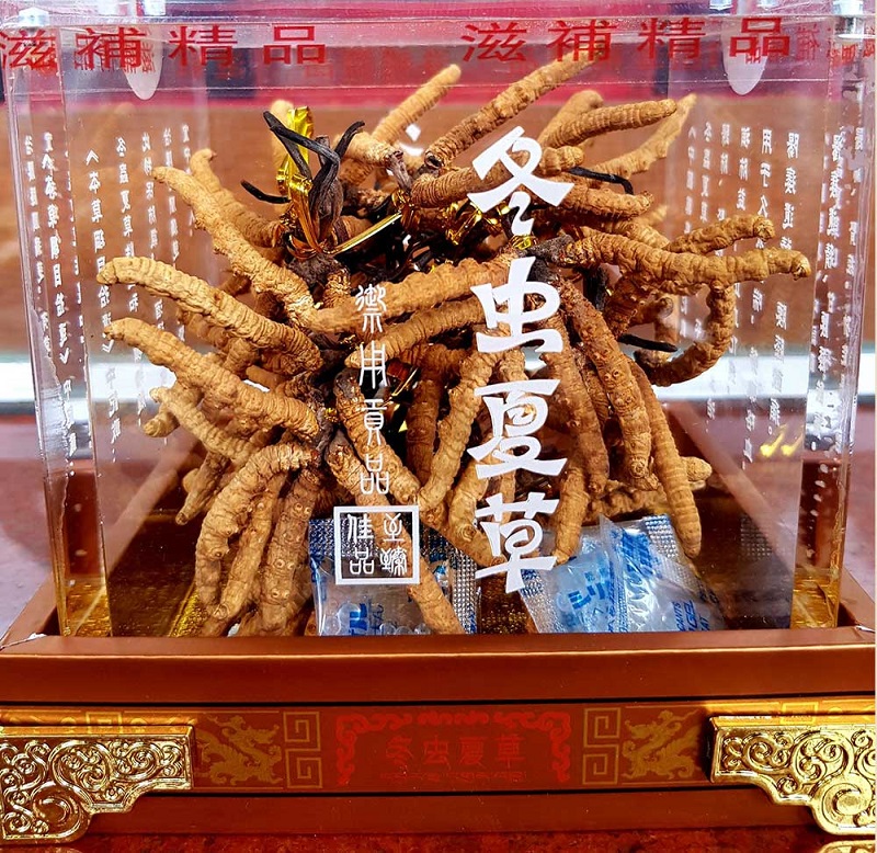 Hộp đông trùng hạ thảo Tây Tạng chạm rồng