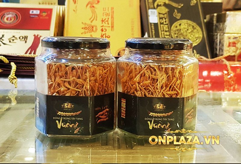 Nấm đông trùng hạ thảo Việt Nam sấy khô cao cấp hộp 100gr D205 3