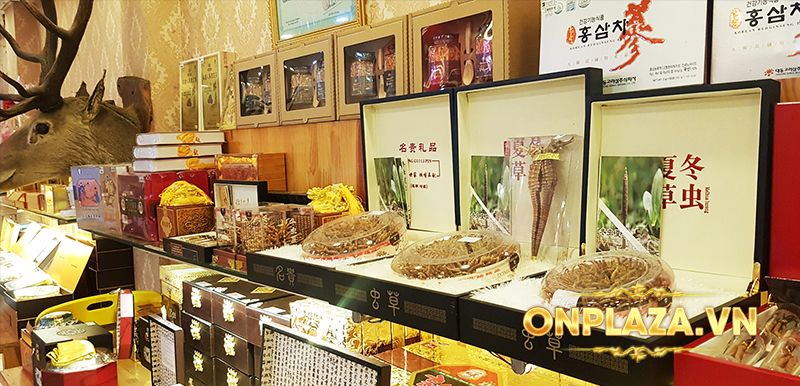 Nấm đông trùng hạ thảo Việt Nam sấy khô cao cấp hộp 100gr D205 9